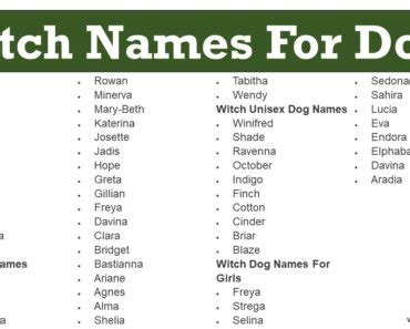 Witc pet names